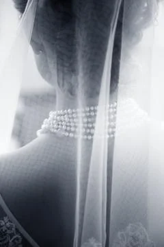 Beautiful bride Stock Photos