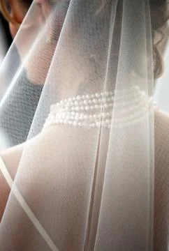 Beautiful bride Foto stock