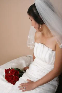 Beautiful bride Stock Photos