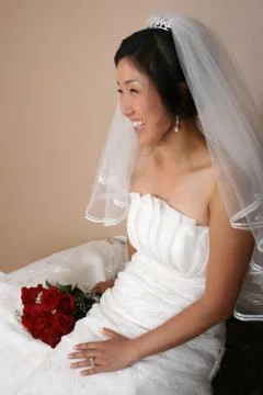 Beautiful Bride Stock Photos