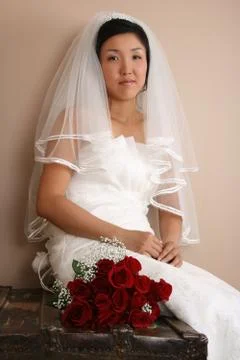 Beautiful Bride Foto stock