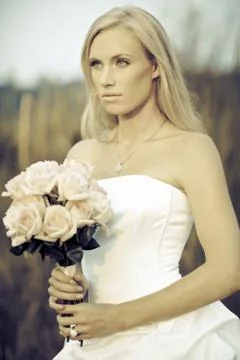 Beautiful bride Stock Photos