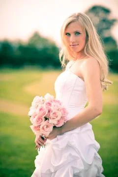 Beautiful bride Stock Photos