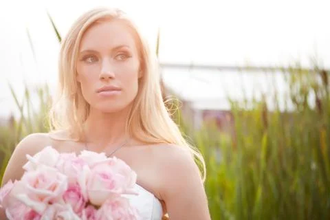 Beautiful bride Stock Photos