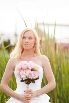 Beautiful bride Stock Photos