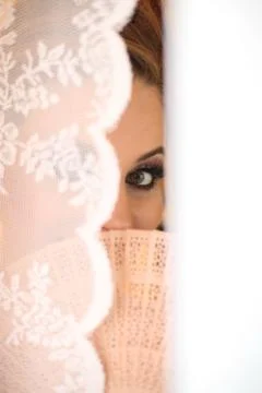 Beautiful bride Stock Photos