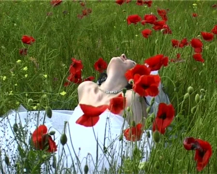 Beautiful bride in poppy field Stock Footage