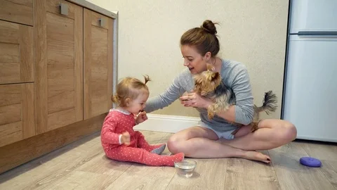 Beautiful bride posing for the camera Видео 75949168