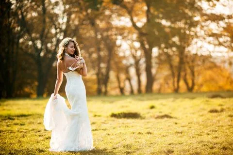 Beautiful bride posing Stock Photos