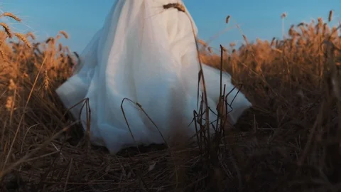 Beautiful bride in wheat field on sunset Stock Footage 112119129