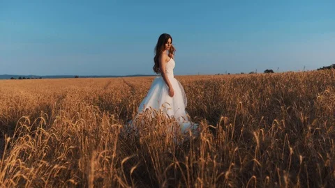 Beautiful bride in wheat field on sunset Stock Footage 112119191