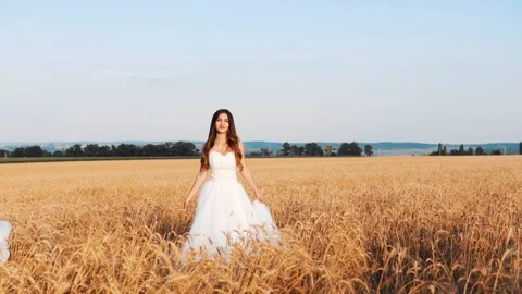 Beautiful bride in wheat field on sunset Stock Footage 112119252