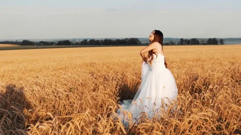 Beautiful bride in wheat field on sunset Stock Footage 112119334