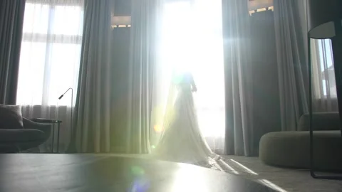 Beautiful bride by the window Stock Footage 172138733