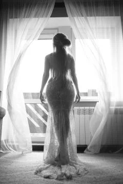 Beautiful bride by the window Stock Photos