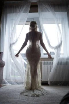 Beautiful bride by the window Stock Photos