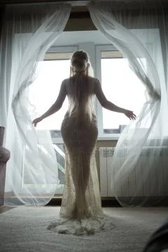 Beautiful bride by the window Stock Photos