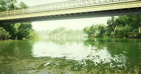Beautiful bridge over calm river surrounded by lush greenery in daylight Ilustração Stock