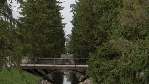 Beautiful bridge over the river bed in the city park 库存影片 108306359