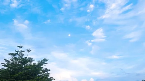Beautiful Bright Blue Sky with Soft White Clouds Natural Background tree Stock Footage 336591274
