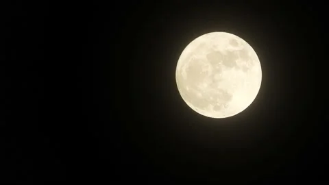 Beautiful Bright Full Moon Going Up Stock Footage 140301293