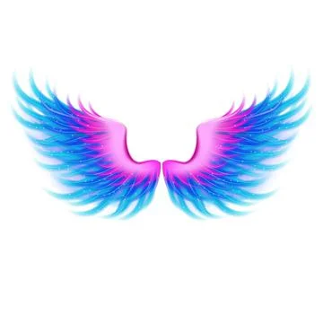 Beautiful bright magic glittery pink blue wings, vector Stock Illustration