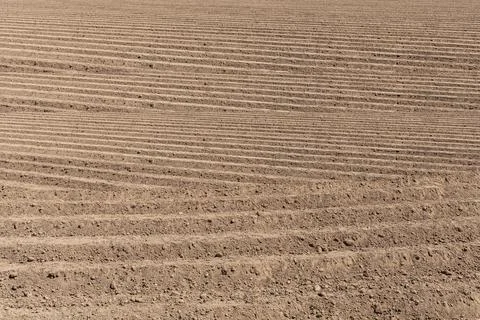 Beautiful brown empty field ready for planting vegetables for agriculture i.. Stock Photos