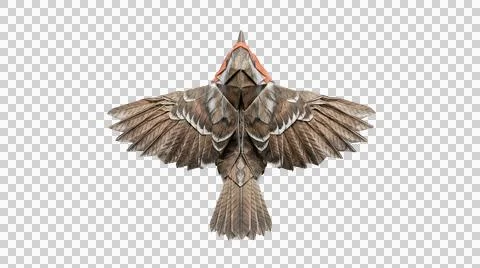 A beautiful brown hawk flying with wings spread wide Stock Illustration