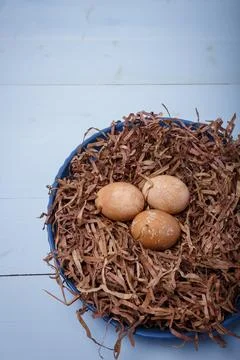 Beautiful brown painted Easter eggs in nest on blue background. Natural tea Stock Photos