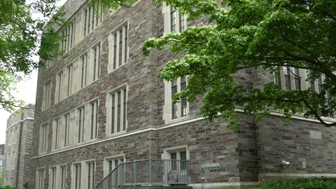 Beautiful Brown Stone building Stock Footage 202092743