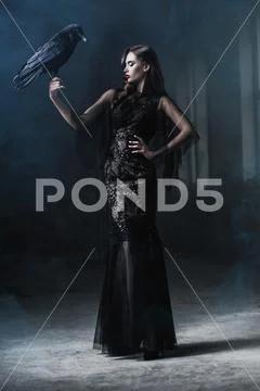 A beautiful brunette lady with a raven in ruins. Evening dress. Fashion, beau Stock Photos