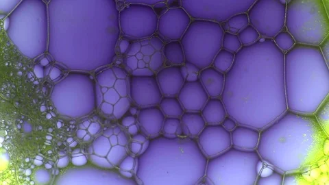 Beautiful bubbly pattern made of soap foam Stock Footage 124440329