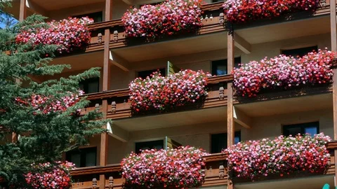 Beautiful building in spring. Stock Footage 86154697