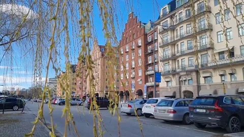 Beautiful Building through tree-lined boulevards --> 4K Stock Footage 188199919