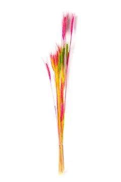Beautiful A bunch of artificial spikelets Stock Photos