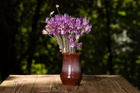 Beautiful bunch of flower. Stock Photos