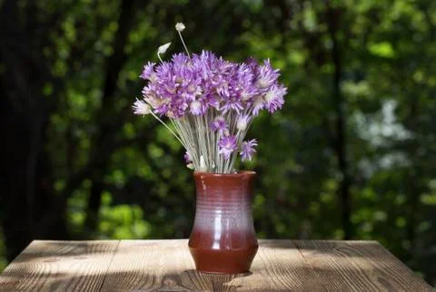 Beautiful bunch of flower. Stock Photos