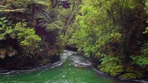 Beautiful bush setting with waterfall, Kaituna river, Rotorua 스톡 동영상 142477580