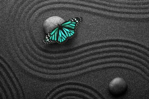 Beautiful butterfly and stones on black sand with pattern, flat lay. Zen conc Stock Photos