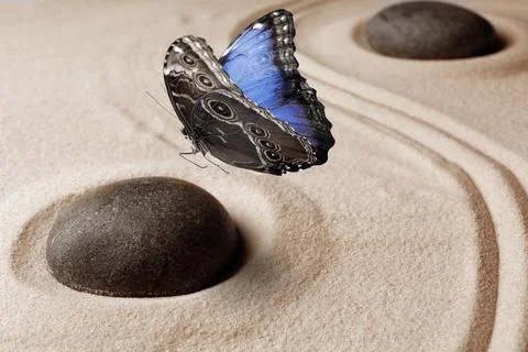 Beautiful butterfly and stones on sand with pattern. Zen concept Stock Photos