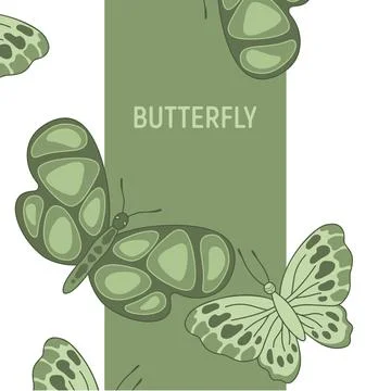 Beautiful butterfly card. Vector fly insect design Stock Illustration