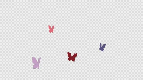 Beautiful Butterfly flying, seamless loop animation Stock Footage 228870455