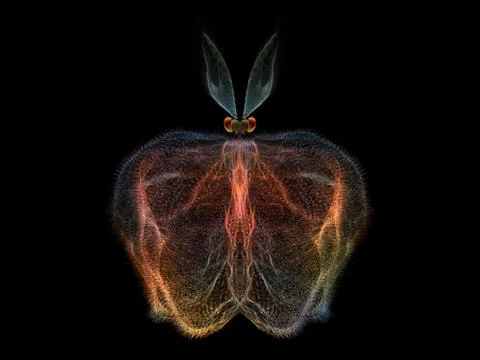 Beautiful Butterfly Stock Illustration
