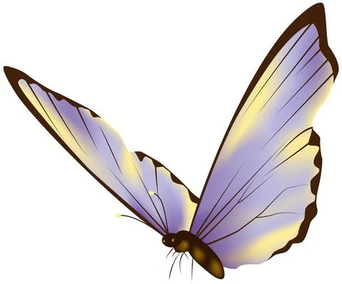 Beautiful butterfly vector illustration different kinds Stock Illustration