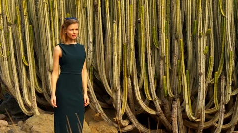 Beautiful Cacti and a Model Posing with Sunglasses in Front Stock Footage 114173290