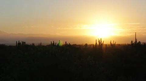 BEAUTIFUL CACTUS SUNSET 스톡 동영상 42392113