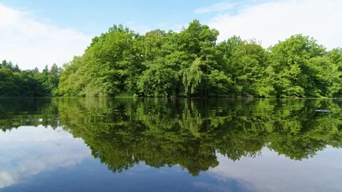 Beautiful calm forest lake in the summer with reflection of the trees and sky Stock Footage 305563653