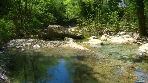 Beautiful calm river in the forest. River with clear water in a mountainous  Stock Footage 272752564