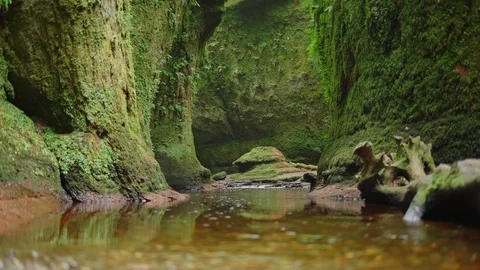 Beautiful calm stream in deep green ravine natural Stock Footage 129512708