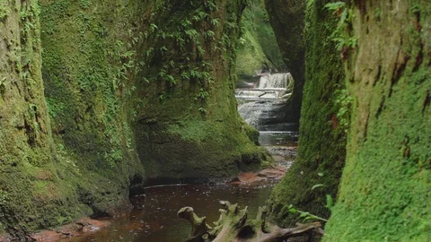 Beautiful calm stream in deep green ravine natural Stock Footage 129512785